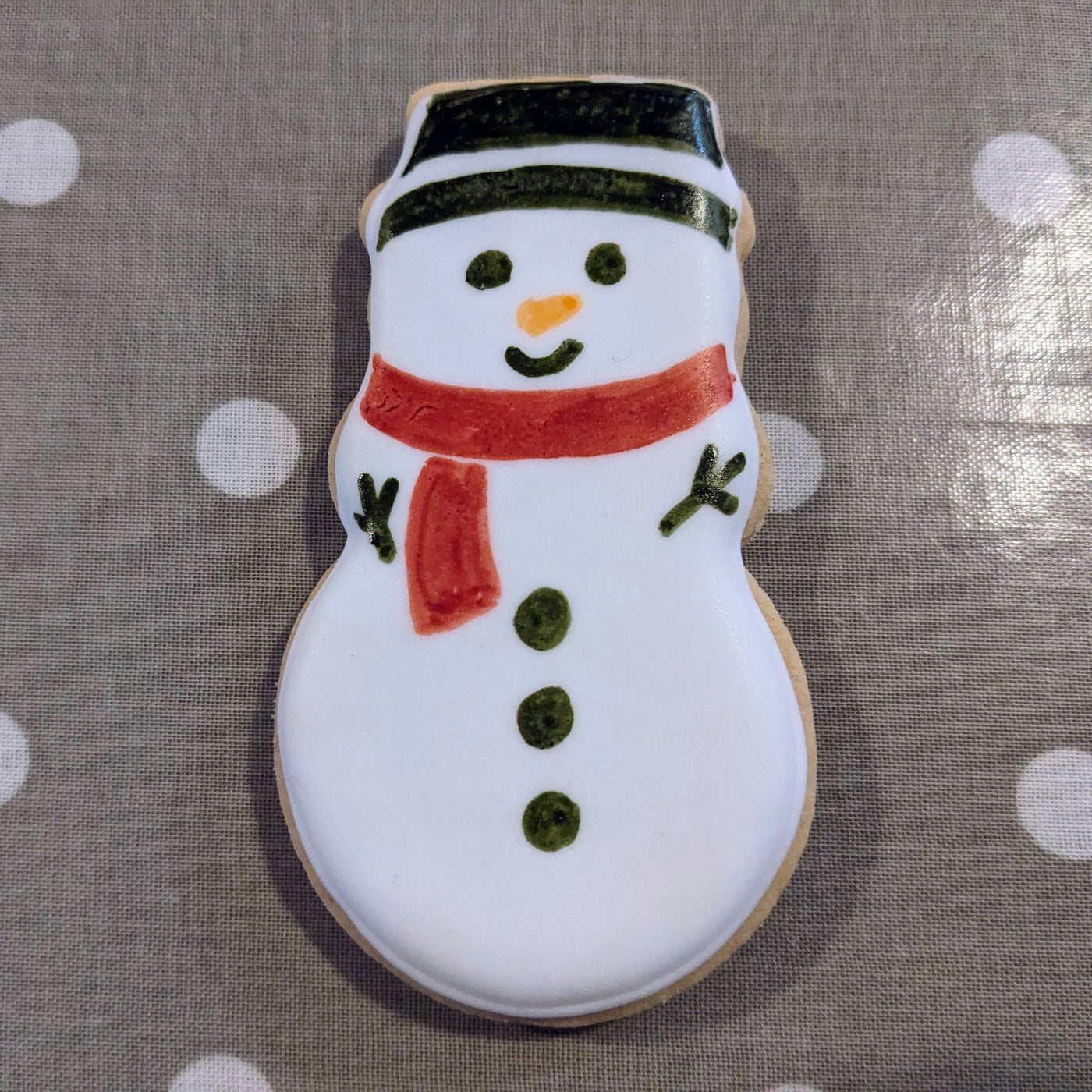 Christmas Biscuit Decorating Kit