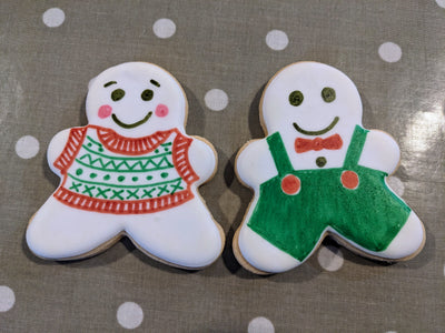 Christmas Biscuit Decorating Kit
