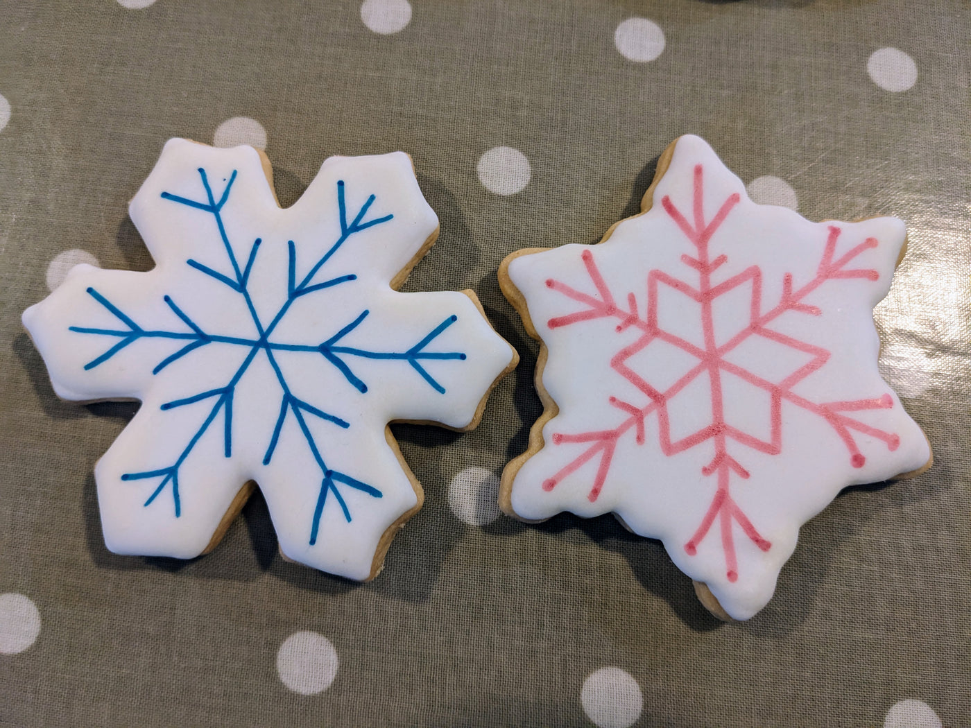 Christmas Biscuit Decorating Kit